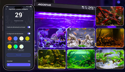 Smart Akvárium Nobleza 30L foto2